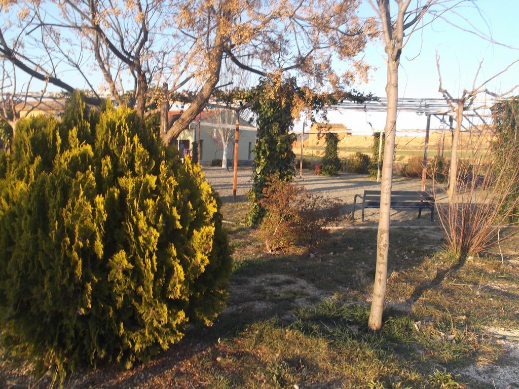 Albergue Cetina Buitenkant foto